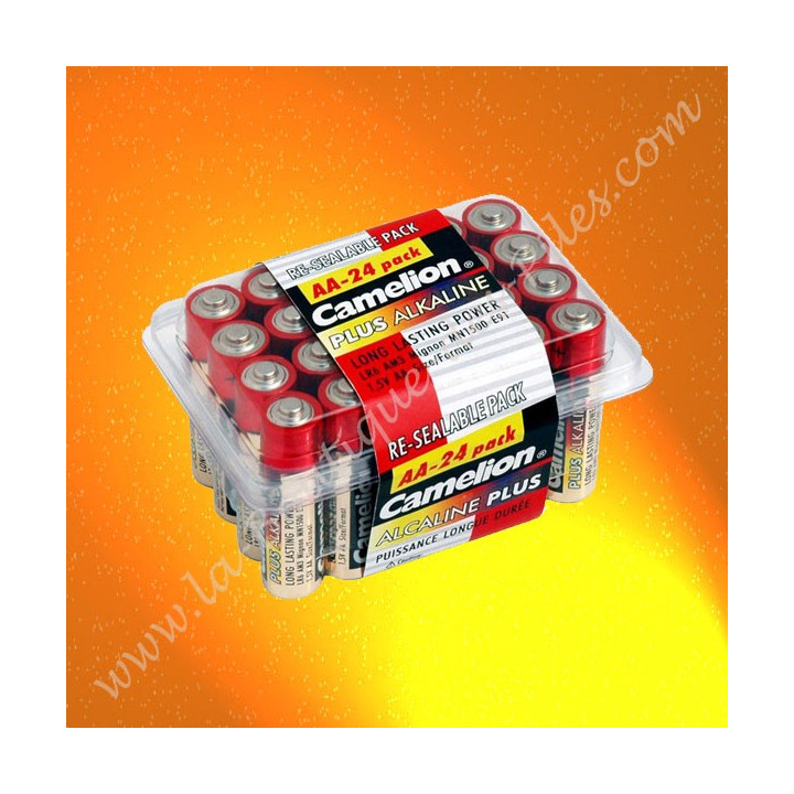 24 Piles alcalines Camelion AA Lr6